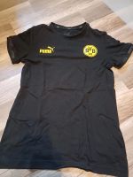 Puma Bvb T-Shirt Grösse 184 (13-14 Jahre) Nordrhein-Westfalen - Paderborn Vorschau