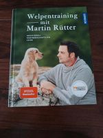 Welpentraining Martin Rütter Gröpelingen - Gröpelingen Vorschau
