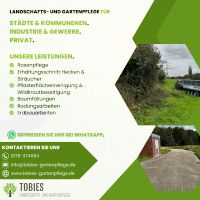 Gartenservice, Hecke schneiden, Heckenschnitt, Rasenpflege, Rasen mähen, Baggerarbeiten Nordrhein-Westfalen - Wesel Vorschau