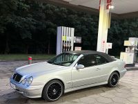 Mercedes CLK  W208 Cabrio 230 Kompressor Dresden - Hellerau Vorschau