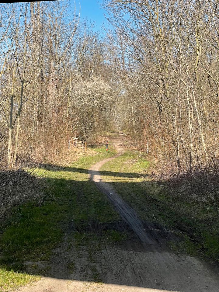 Großes Grundstück an der Saale mit Wasserzugang in Lützen