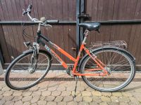 Fahrrad 8 Gang 28er Prince Rad Reifen Sattel Thüringen - Schimberg Vorschau