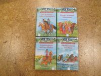 4 Pferdebücher / Mädchenbücher "Die Pferde vom Friesenhof" Niedersachsen - Drochtersen Vorschau