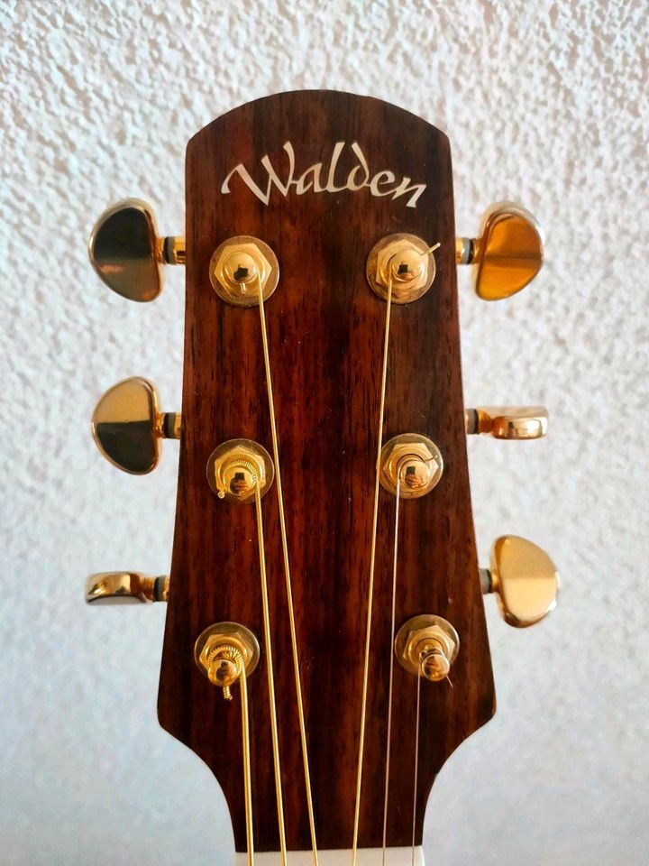 Walden Concorda CD 670 TB Limited Edition Western Gitarre in Brigachtal