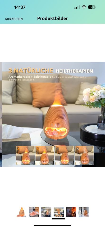 Aroma Diffuser Ätherische Öle Salzlampe Flammeneffekt in Dessau-Roßlau