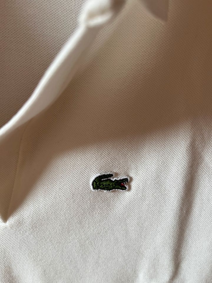 Poloshirt Lacoste in Kiel