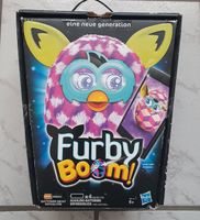Furby der Marke Hasbro zu verkaufen Bayern - Neu Ulm Vorschau