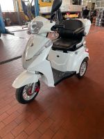 E-Scooter Senioren Dreirad B1-1000/3 Hessen - Schlüchtern Vorschau