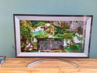 55 zoll Smart TV LG OLED 55b8slc voll funktionsfähig Bayern - Freising Vorschau