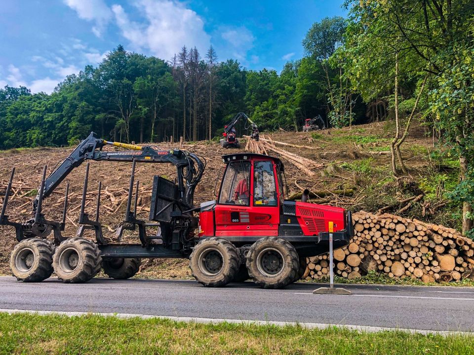 *Holzeinschlag und Holzrückung* in Etterwinden