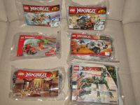 Lego Ninjago Konvolut - alle Sets sind komplett! Baden-Württemberg - St. Leon-Rot Vorschau