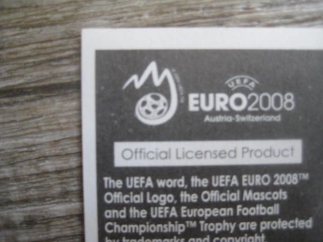 Panini Bilder Euro 2008 ,Fußballeuropameisterschaft 2008 ,a 0,50 in Essen-Margarethenhöhe