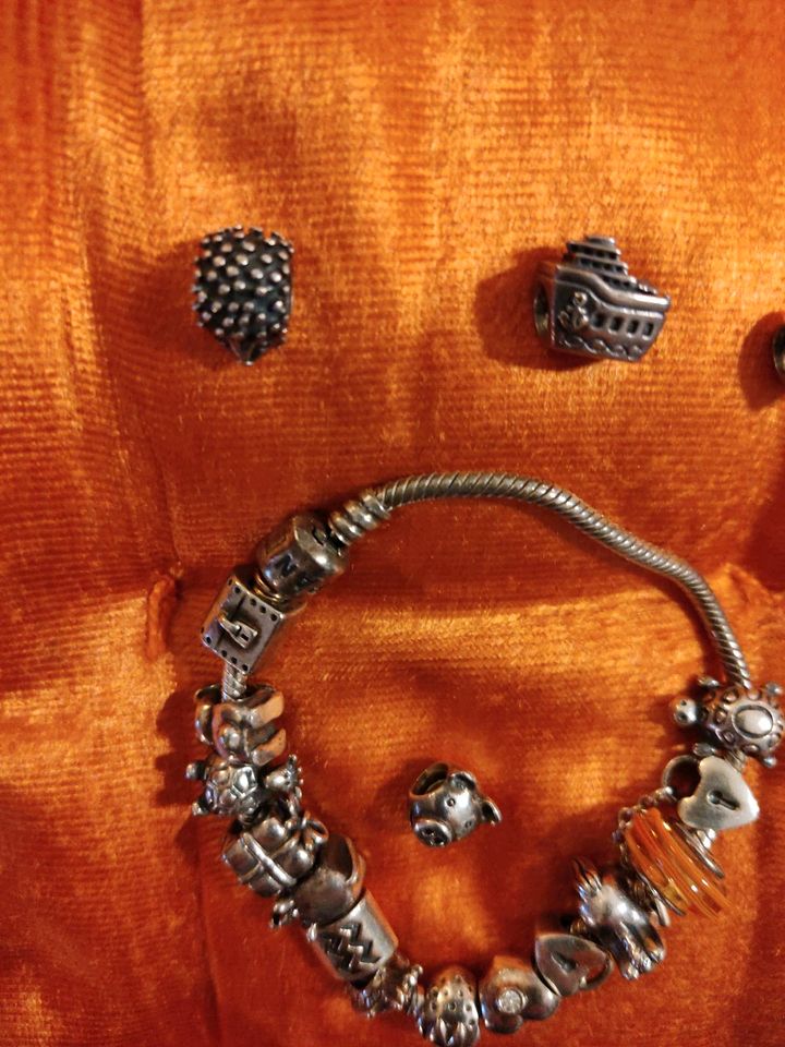 18 orig. Pandora Charms mit Armband Topzustand in Herne