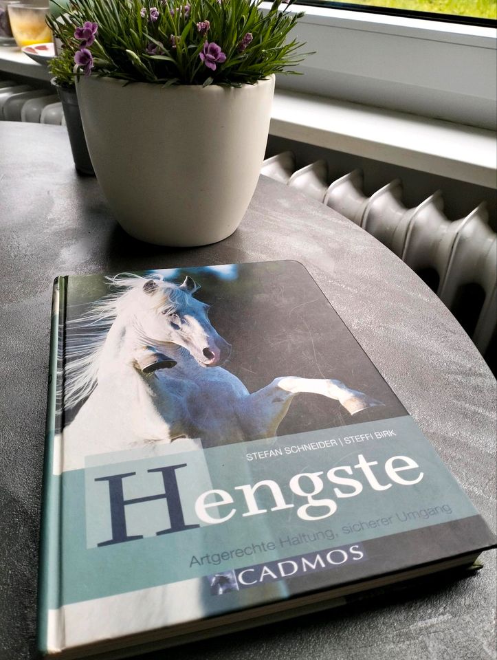Buch - Hengste - Cadmos Verlag in Bellheim