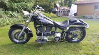 Harley Davidson Fat Boy FXST Schleswig-Holstein - Horst (Holstein) Vorschau