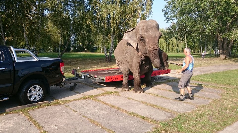 Anhänger mieten Vermietung Verleih Pkw Anhänger leihen in Hennigsdorf