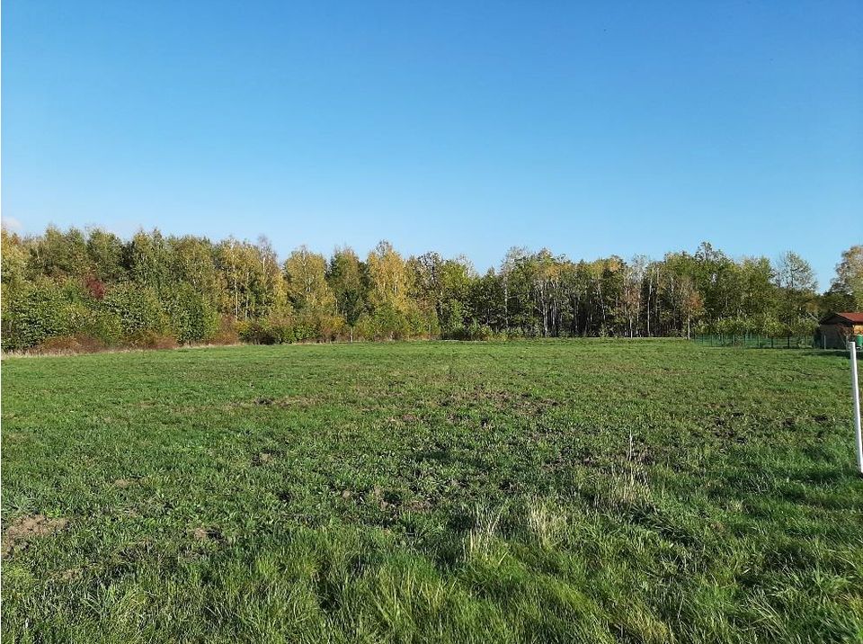 Grundstück in Seenähe in Trebendorf-Mühlrose