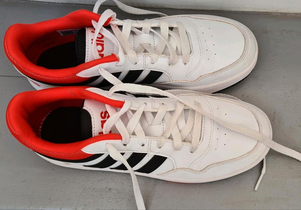 Adidas Turnschuhe sneaker basketball Schuhe weiß gr 37,5 wie neu in Groß-Umstadt