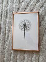 Desenio Bild Pusteblume mit Metallrahmen Roségold Kupfer Hamburg-Nord - Hamburg Barmbek Vorschau