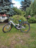 Scool Fahrrad 24 er Müritz - Landkreis - Röbel Vorschau