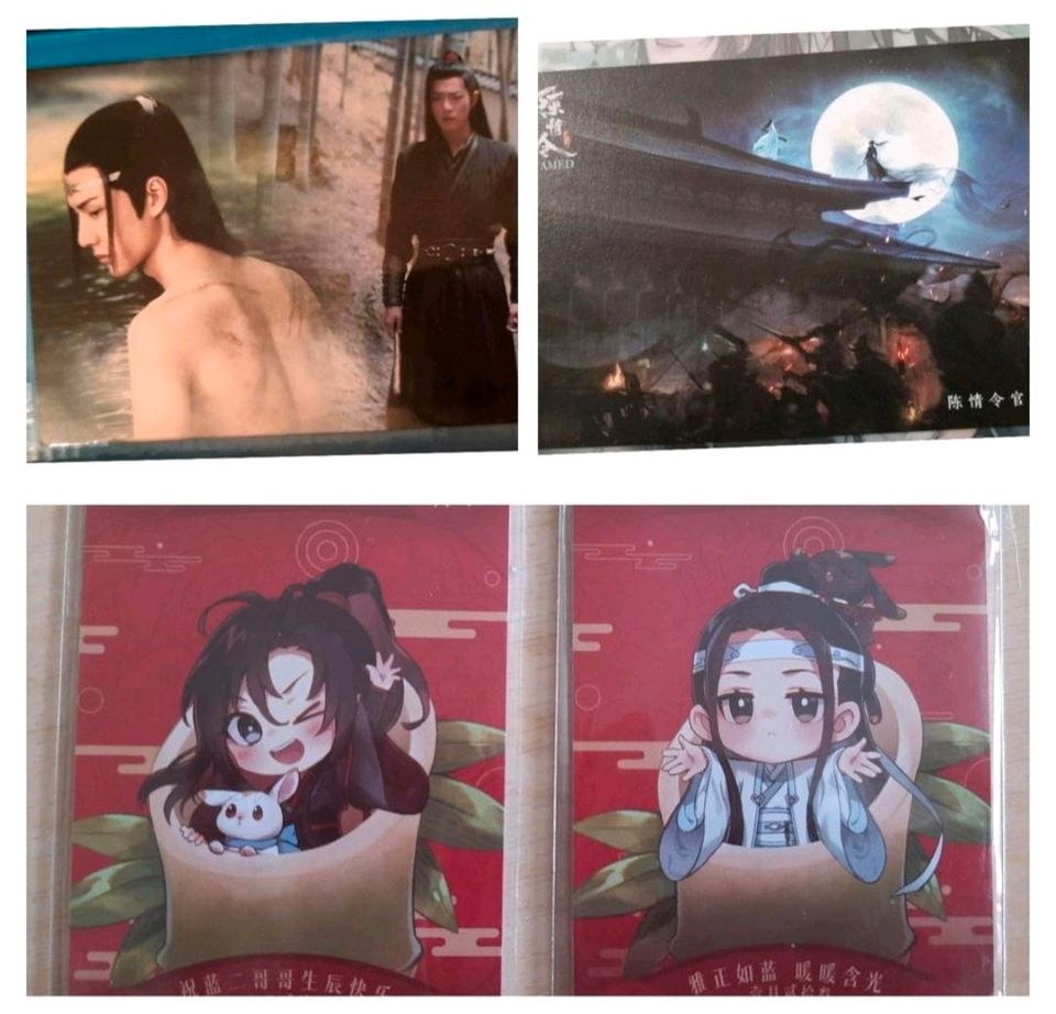 Mo Dao Zu Shi MDZS the untamed TGCF wangji wuxian merch danmei in Bremen