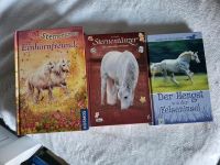 Pferde Bücher Sternenschweif, Sternentänzer Rostock - Toitenwinkel Vorschau