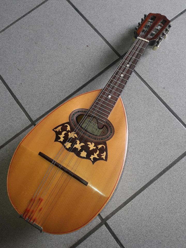 Mandolin  Gitare in Ahaus