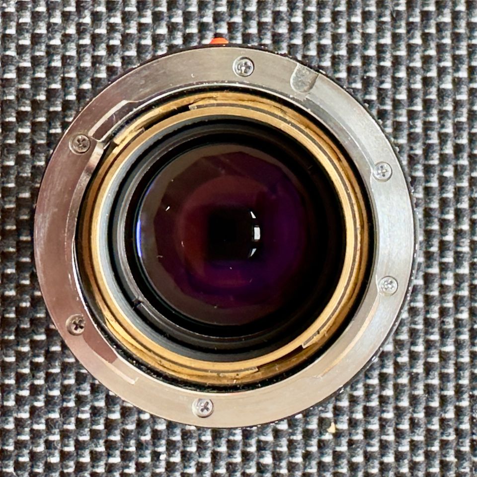 Leica M Summilux 50 mm f 1:1,4 in Frankfurt am Main