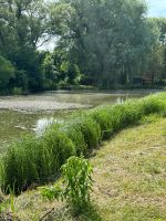 Romantisches idyllisches Gartengrundstück mit Teich und Haus Thüringen - Erfurt Vorschau