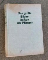 Das große Bilderlexikon der Pflanzen Baden-Württemberg - Rottenburg am Neckar Vorschau