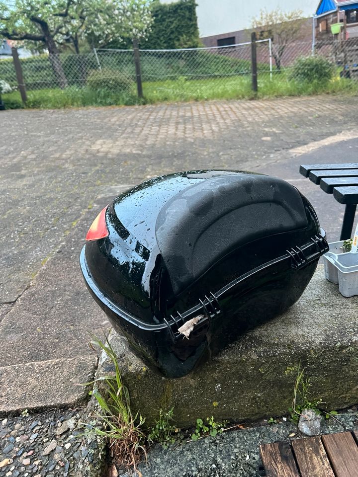 Helm Koffer in Einbeck