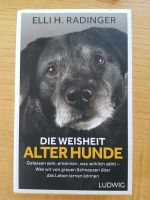 Buch Die Weisheit Alter Hunde Baden-Württemberg - Friedrichshafen Vorschau