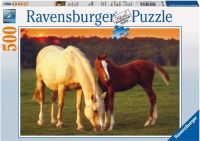 Ravensburger Premium Puzzle Pferd & Fohlen 500 Teile NEU in OVP Rheinland-Pfalz - Heltersberg Vorschau