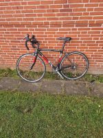 Fahrrad  Rahmengröße ist 58 Marke STEVENS. Es ist eine elektrisch Schleswig-Holstein - Böklund Vorschau