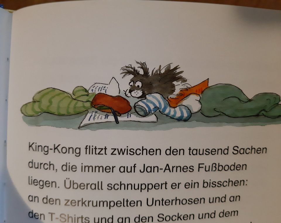 King Kong das Glücksschwein Kinderbuch Meerschweinchen 8 -10 J. in Jüchen