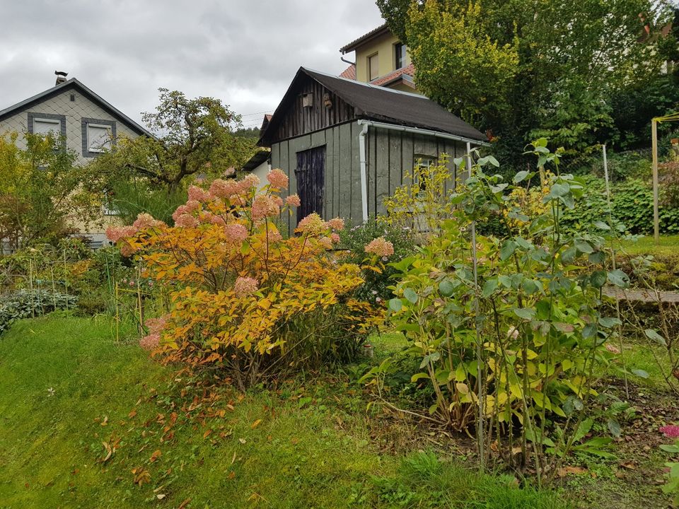 großer Garten mit Siedlungshaus, Garage + Carport Baugrundstück in Suhl