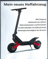 ★ EBORN Gelände Scooter ★ 40 km/h ★ ca 100 km Reichweite ★ Bayern - Hemau Vorschau