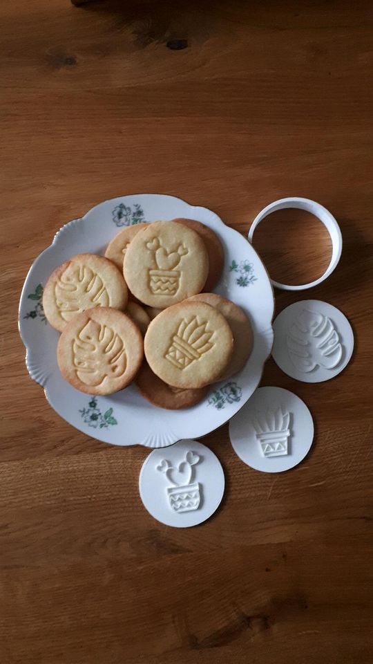 3er SET Zimmerpflanzen backen Ausstecher Keksstempel Monstera in Burgrieden