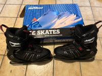 K2 fit ice boa Schlittschuhe Gr. 42 *TOP* Bayern - Kelheim Vorschau