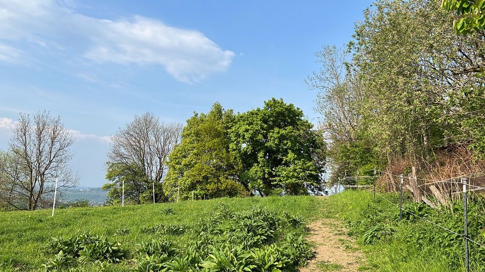 Freizeitgrundstück Wald / Wiese in Hemer Brockhausen in Hemer