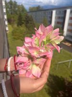 Frauen Haarschmuck-künstliche Blume-Kopfschmuck-Haar Klaue Sachsen - Bad Elster Vorschau