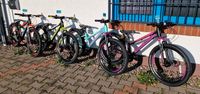 24" MTB Jungen / Mädchen 21-Gang Shimano hydraul. Disc NEU Mecklenburg-Vorpommern - Ahrenshagen-Daskow Vorschau