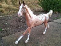 Breyer Pferd Achal Tekkiner Repaint zum Appaloosa Saarland - St. Wendel Vorschau