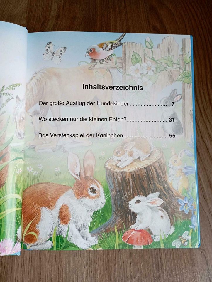 Kinderbuch "Meine schönsten Tiergeschichten" in Delitzsch