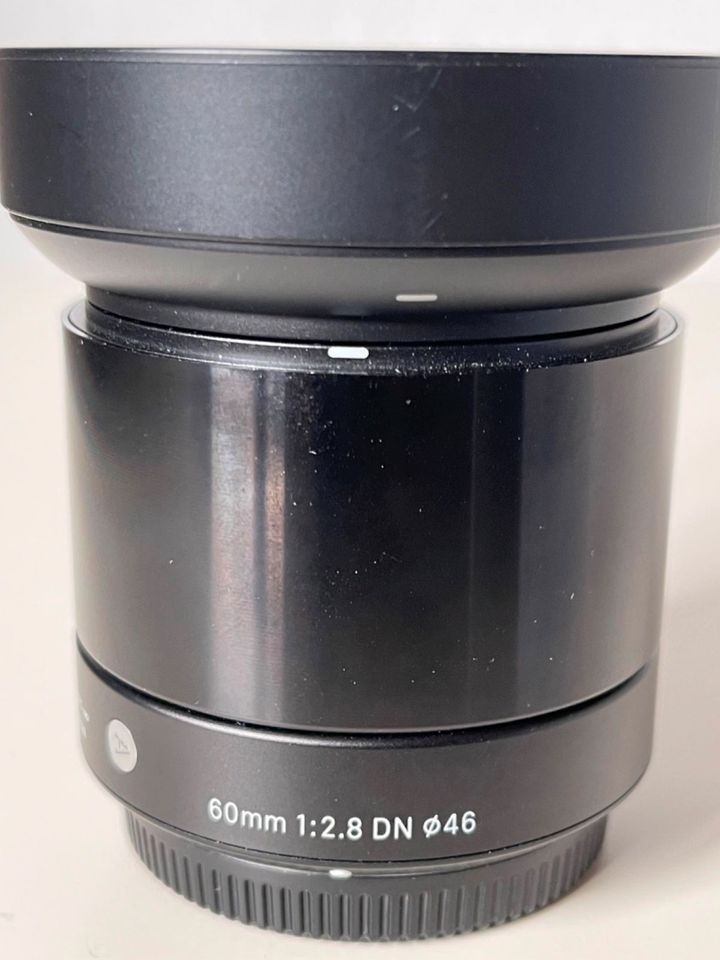 Sigma 19mm f/2.8 DN Art für Olympus/Panasonic MFT Objektiv in Tarmstedt