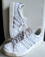 Adidas Sneaker ❤ Größe 43 1/3 ❤️ Schuhe Forest Hill Nordrhein-Westfalen - Krefeld Vorschau