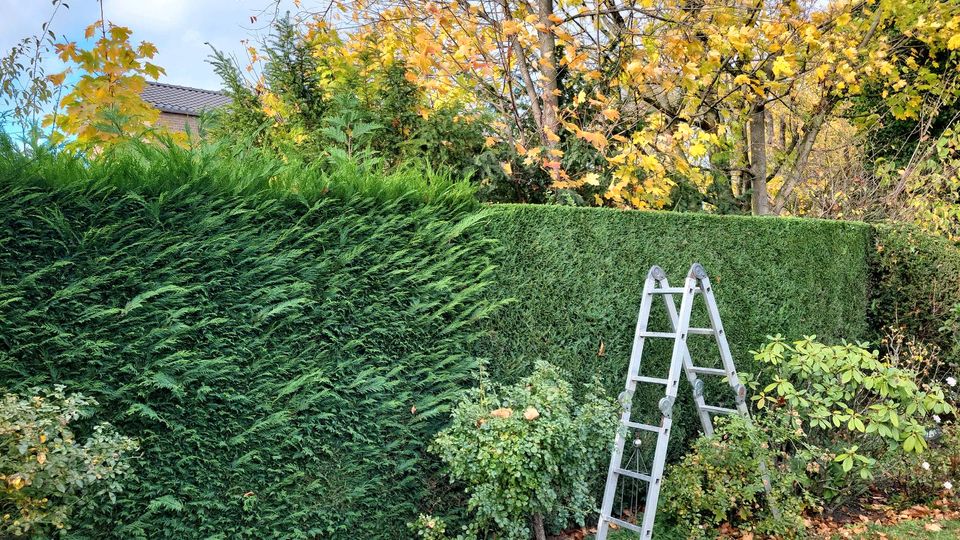 Gartenarbeit, Rollrasen, Heckenschnitt,  Baumfällung etc. in Neuss