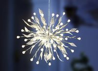 Lichtkugel LED mit Blätter Ø26cm silber Außendeko XMas #36732 Baden-Württemberg - Birkenfeld Vorschau