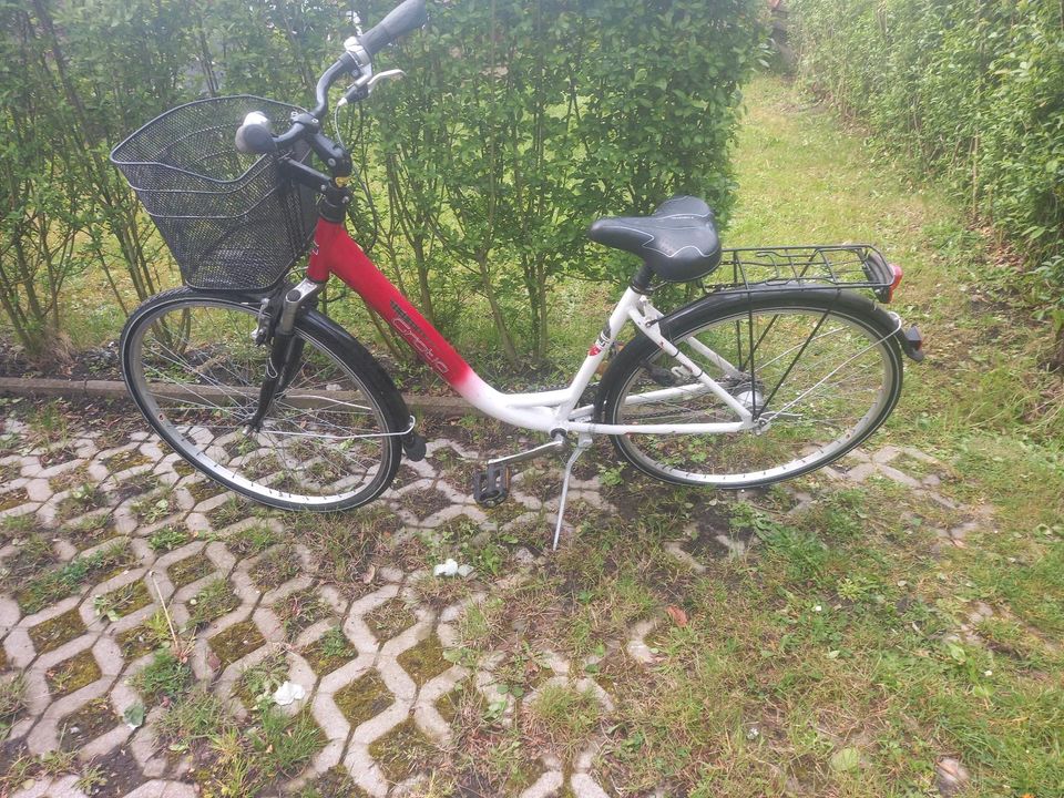 Damen Fahrrad  26zoll in Bottrop