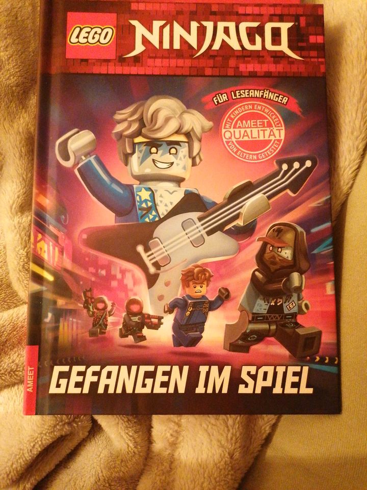 6 Lego Ninjago Bücher in Mönkeberg